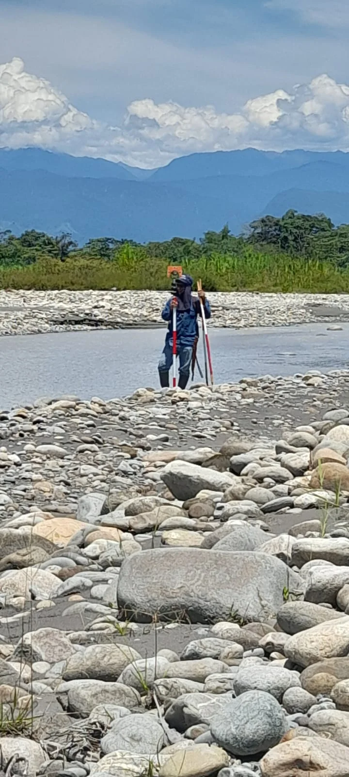 galeria 19